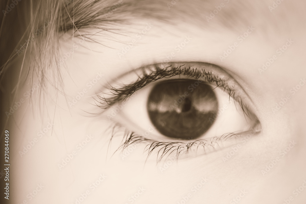 Fototapeta premium Brown eye girl, sepia macro photo