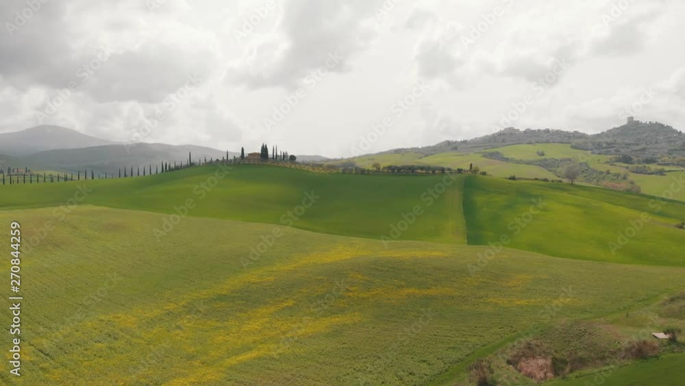 The camera moves smoothly over a green field with dandelions. There are trees in the distance. Italy, Toskana. The camera moves smoothly over a green field with dandelions. There are trees in the distance. Italy, Toskana.