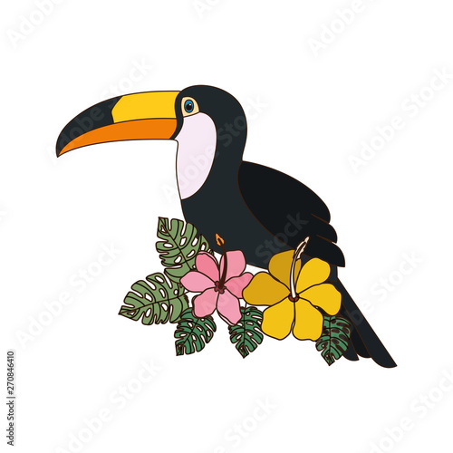 beautiful toucan on white background