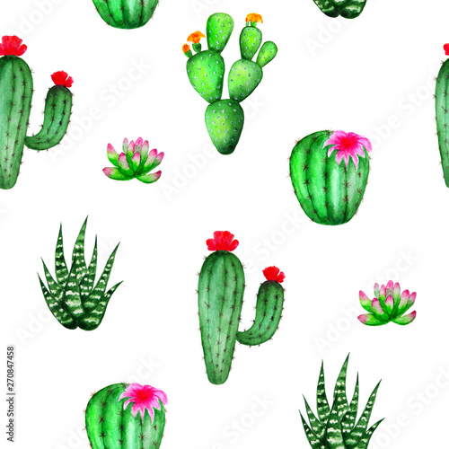 Watercolor cactus and succulents seamless pattern. Hand-drawn succulents collection