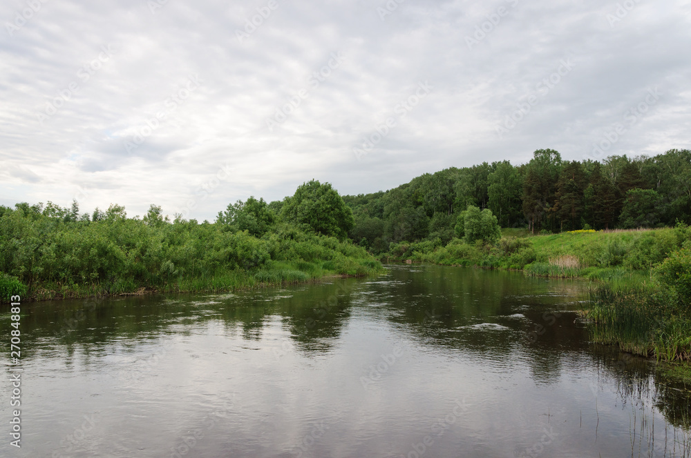 River in forest River in forest