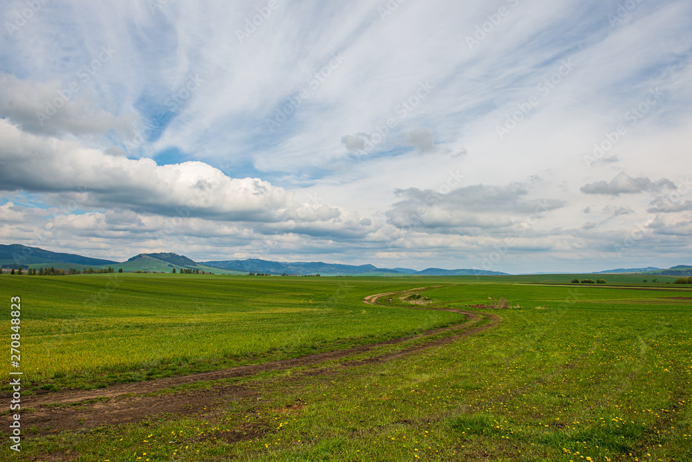 Fototapeta premium green meadow under blue sky in countryside