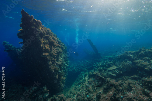 Fototapeta Naklejka Na Ścianę i Meble -  Diver on side of the Chrisoula Ship Wreck