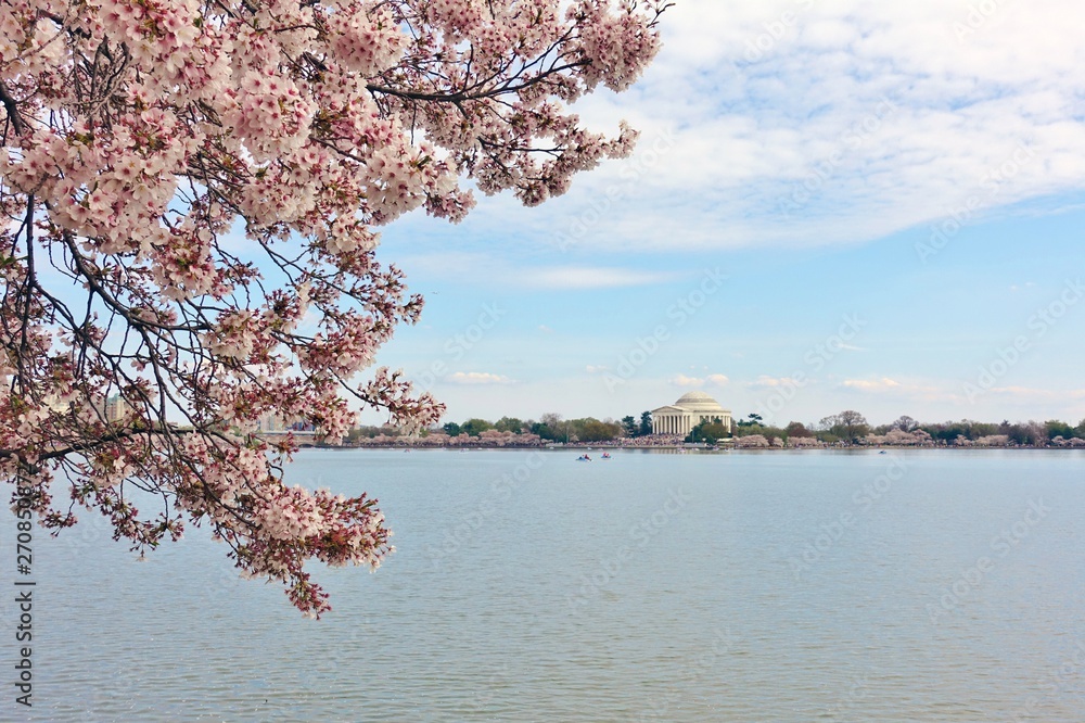 View of the Jefferson Memorial, a landmark monument by the Tidal Basin during the cherry blossom season in the nation’s capital.
