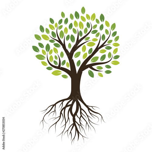 Vector illustration Tree with Roots