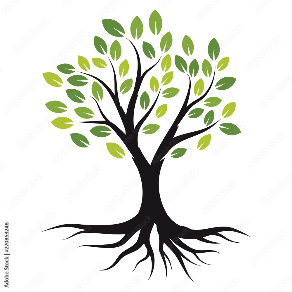 Fototapeta premium Vector illustration Tree with Roots