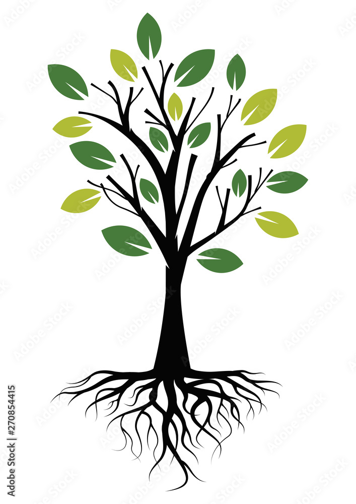 Fototapeta premium Illustration Green Tree with Roots