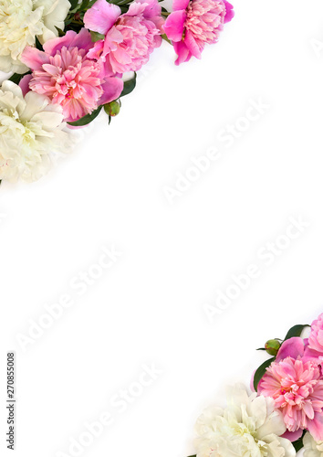 Frame of pink and white peonies on a white background with space for text. Top view, flat lay © Anastasiia Malinich