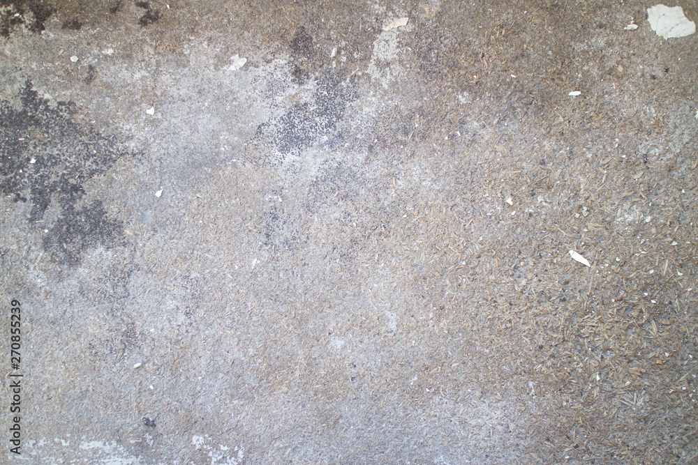 Obraz premium wet asphalt close up