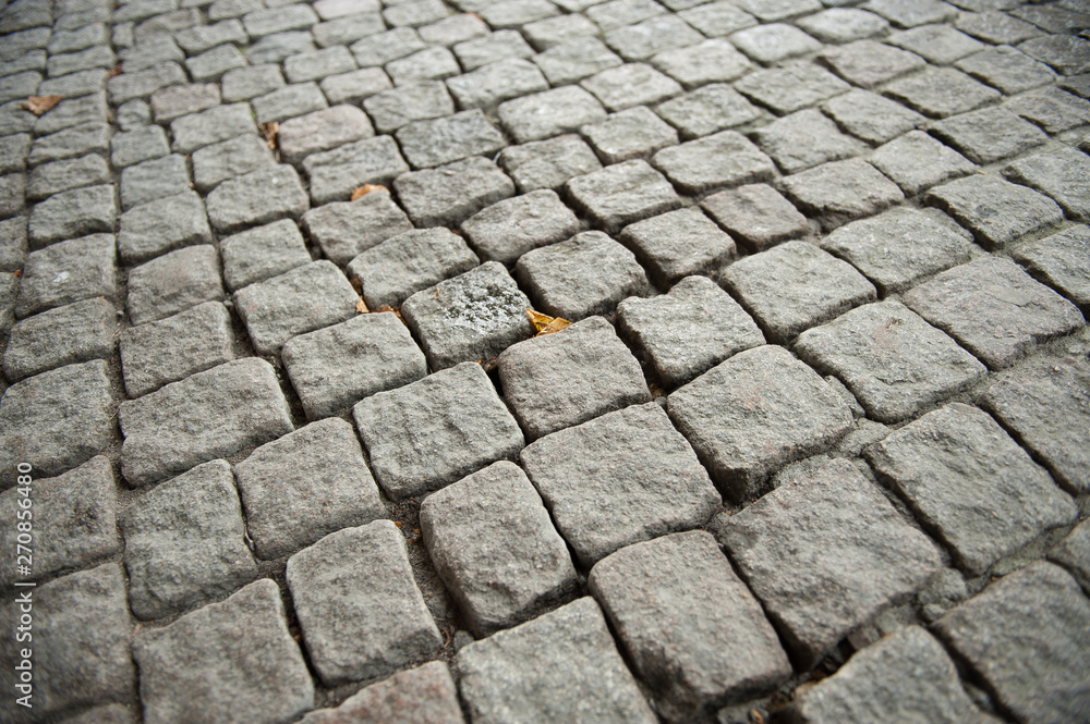 Grey cobblestone and small orange leaves between the stones.