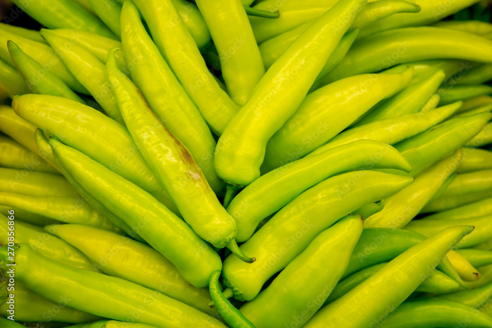 Green sweet pepper background with stacked peppers layed specially for buyer attraction.