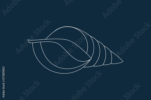 Seashell Icon Vector