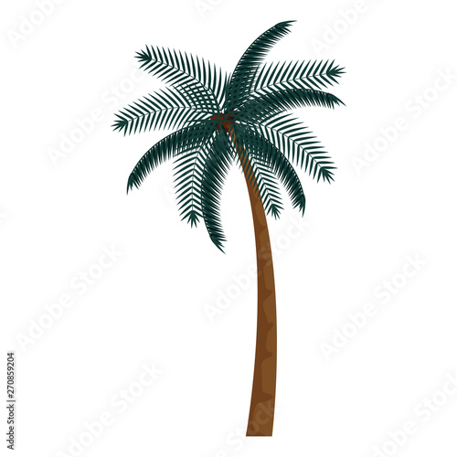 tree palm beach summer icon