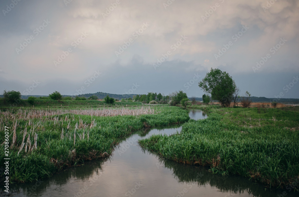 evening, the river flows through the grass wild nature evening, the river flows through the grass wild nature