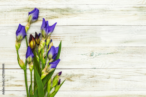  purple iris flower buds close up. light wooden background
