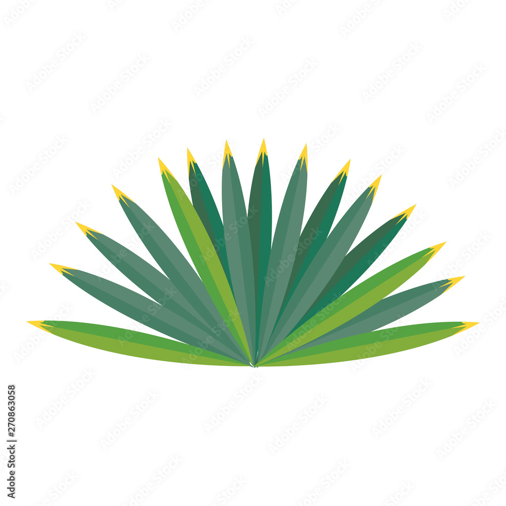 Tropical leaves nature cartoon isolated Tropical leaves nature cartoon isolated