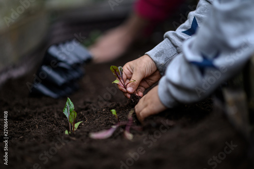 Child planting seedlings