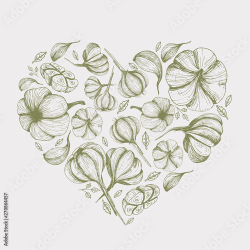 Vector green background with garlic illustration Hand drawn heart shape food image