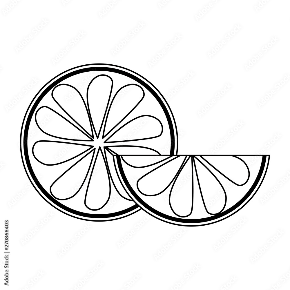 Orange slices fruits isolated cartoon in black and white Orange slices fruits isolated cartoon in black and white