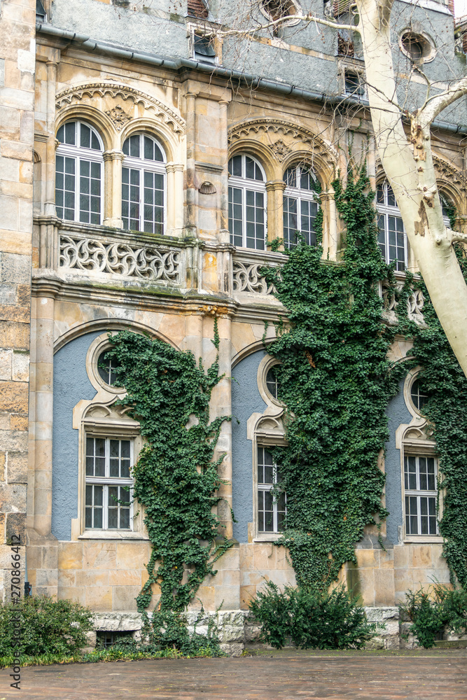 Obraz premium Old architectural landmark of Budapest with green ivy winds