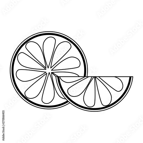 Orange slices fruits isolated cartoon in black and white