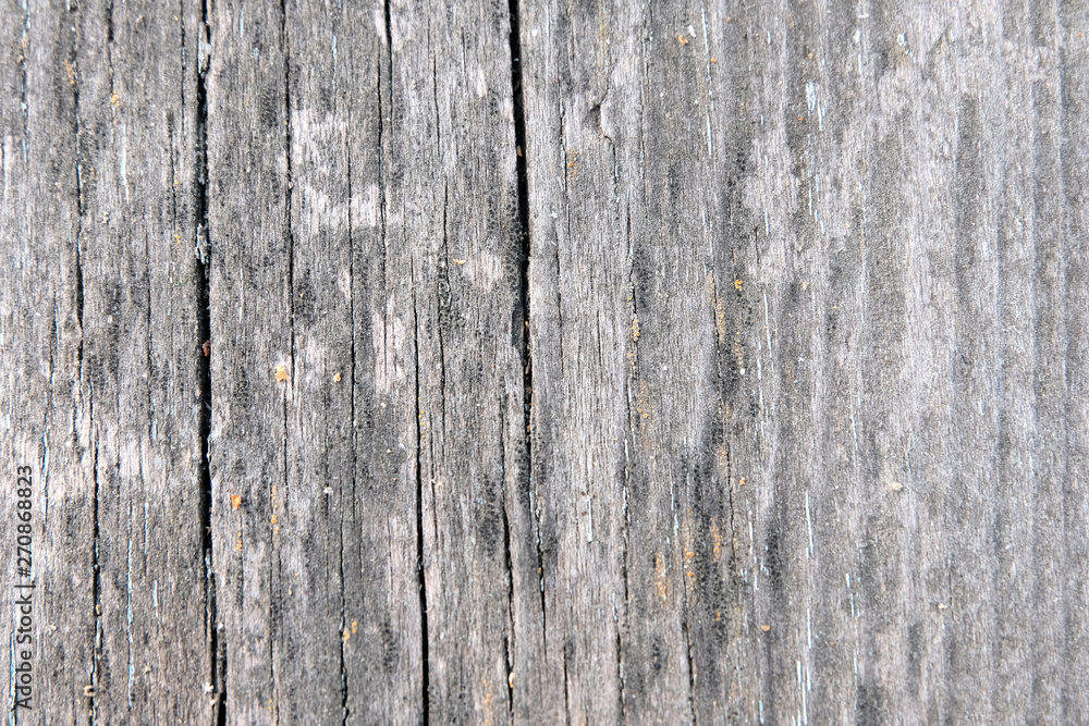 The concept of a gray wooden background. Blurred wood surface. Abstract background. Interior and exterior decoration. The concept of a gray wooden background. Blurred wood surface. Abstract background. Interior and exterior decoration.