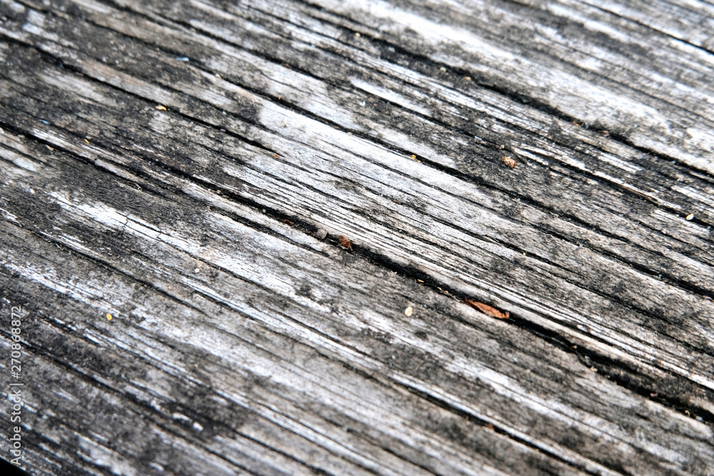 The concept of a gray wooden background. Blurred wood surface. Abstract background. Interior and exterior decoration. The concept of a gray wooden background. Blurred wood surface. Abstract background. Interior and exterior decoration.