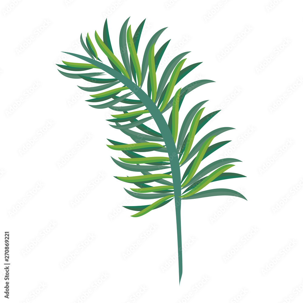 Tropical leaves nature cartoon isolated Tropical leaves nature cartoon isolated