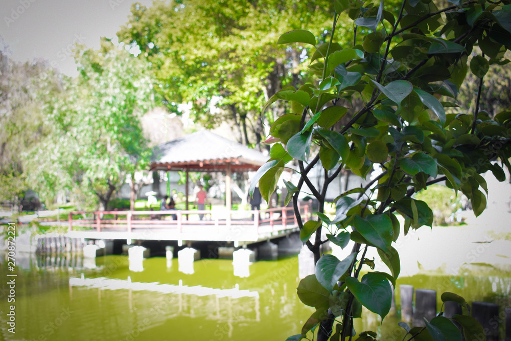 Obraz premium Jardín Japones
