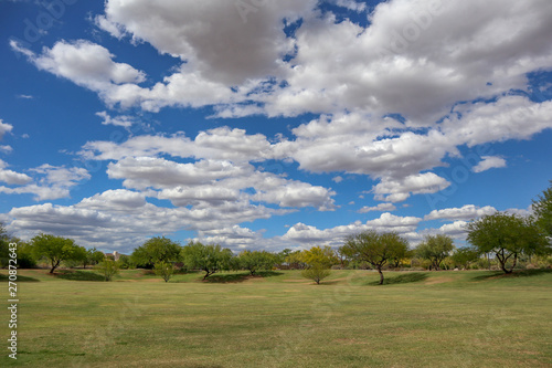 North Scottsdale Park on a Spring Day