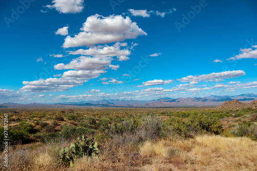 Desert landscape in the Sonoran Desert