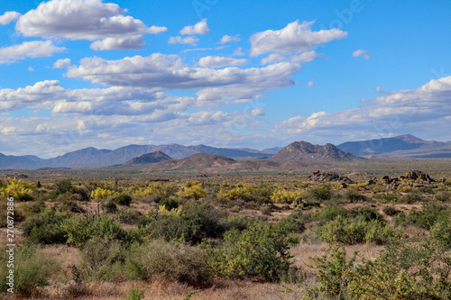 Sonoran Desert landscape outside Scottsdale Arizona