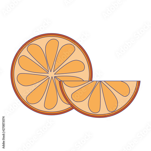 Orange slices fruits isolated cartoon
