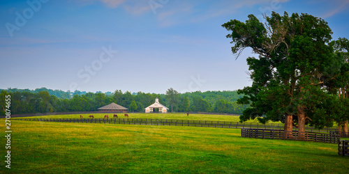 Horses Grazing on a Horse Farm