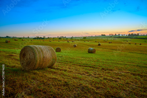 Round Hay Bails in a Field