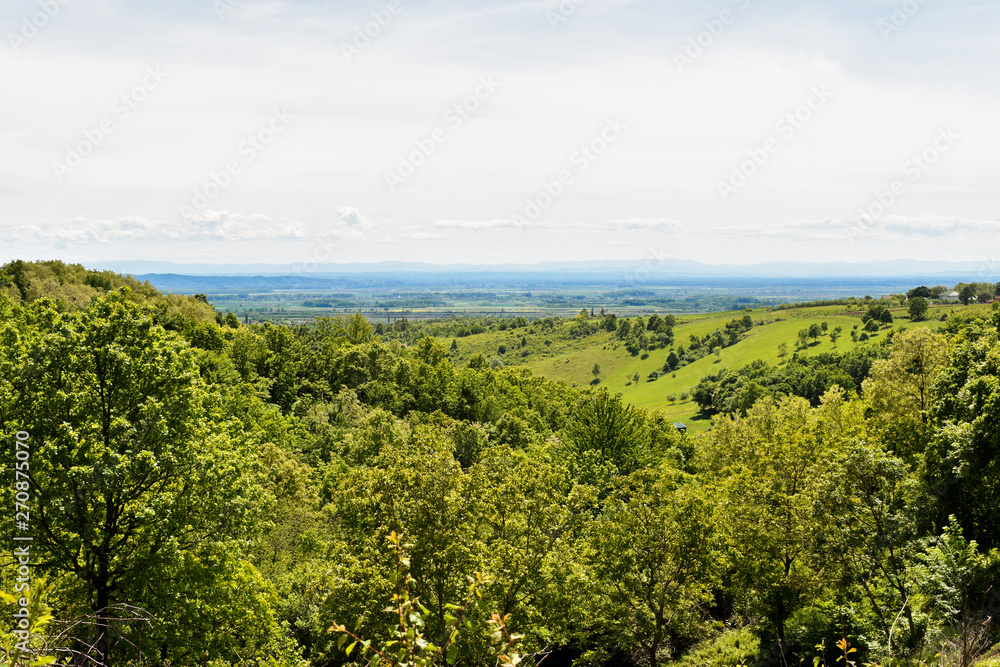 Landscape in Croatia with green deciduous montane forest and hills