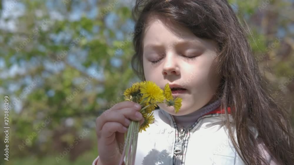 A child with flowers. Beautiful young girl sniffs a bouquet of yellow dandelions. A child with flowers. Beautiful young girl sniffs a bouquet of yellow dandelions.