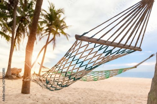 hammock on a palm tree sunset glare of the sun sea ocean sky shore sand,summer concept.