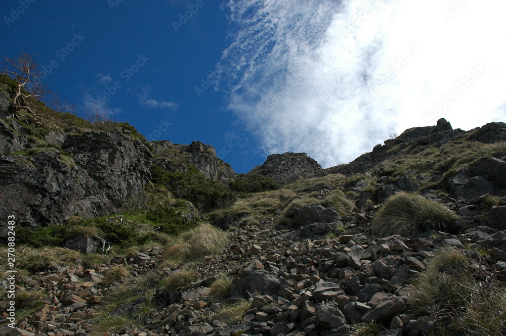 八ヶ岳登山 八ヶ岳登山