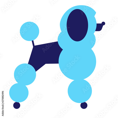 Poodle geometric illustration isolated on background