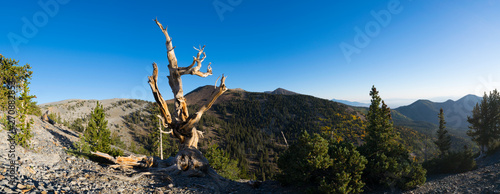 Great Basin National Park - Snake Range