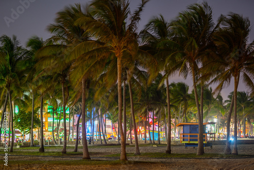 Neon lights and palm trees Miami Beach Ocean Drive © Felix Mizioznikov