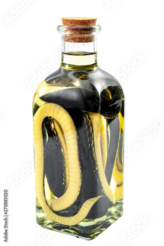Snakeoil salesman, cure all scam and quack medicine concept theme with bottle of oil and a snake in it isolated on white background with a clipping path cut out