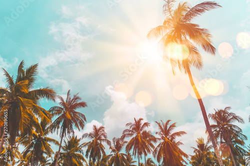 Fototapeta Naklejka Na Ścianę i Meble -  Tropical palm tree with colorful bokeh sun light on sunset sky cloud abstract background.