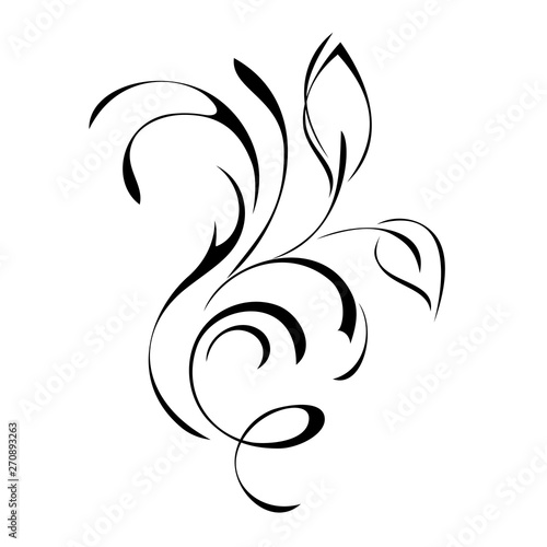 Fototapeta Naklejka Na Ścianę i Meble -  decorative element with leaves and curls in black lines on a white background