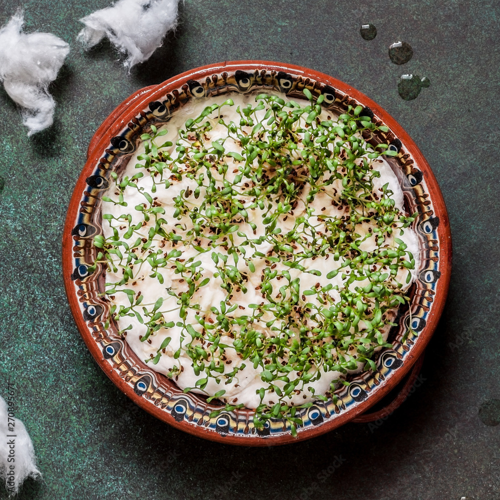 Sprouting Cress Salad Seeds