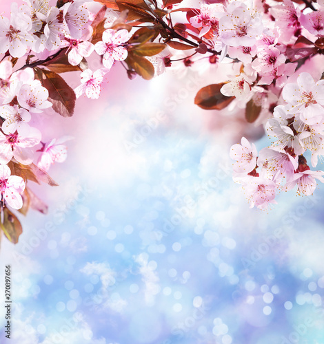 Tree branches with beautiful tiny flowers against blurred background, space for text. Amazing spring blossom