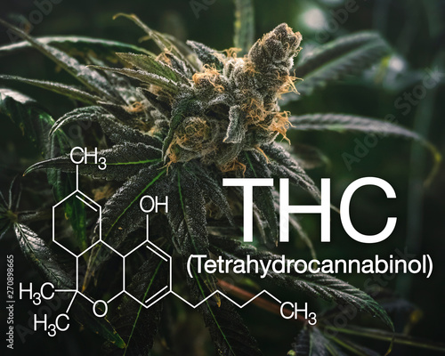 Marijuana THC Graphic with Scientific Logo for Recreational Use photo