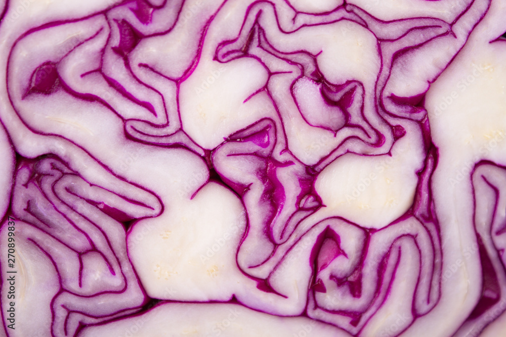 Obraz premium Raw Shredded Purple Cabbage