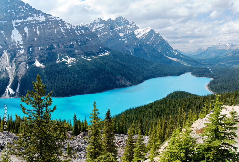 summer view of famous mountain Peyto lake at sunny weather, Banff National Park, Alberta, Canada